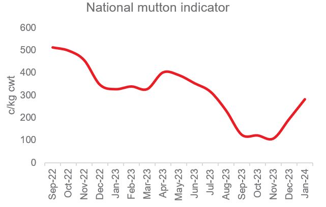 Graph showing national mutton indicator prices January 2024