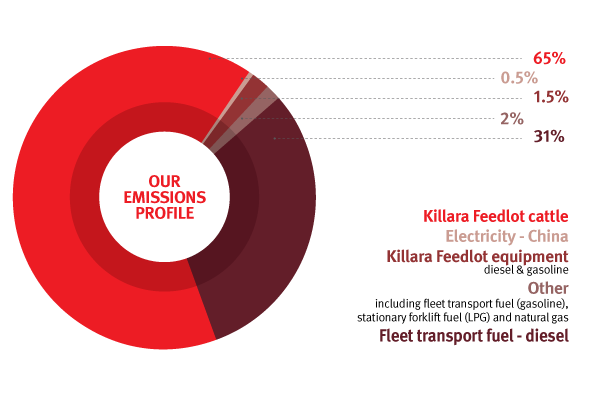 Graph of Elders' emissions profile - described below