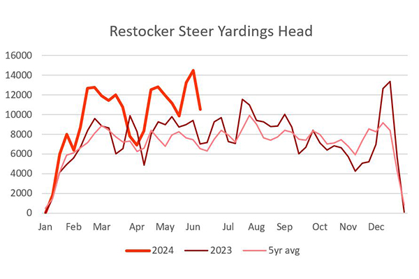 This chart is a measure of the relative price of restocker vs feeder steer national indicator prices.