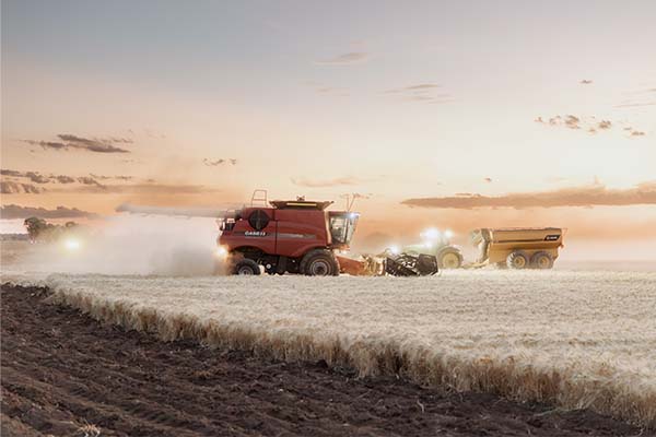 Cotton harvest at dusk, creating a line of white dust