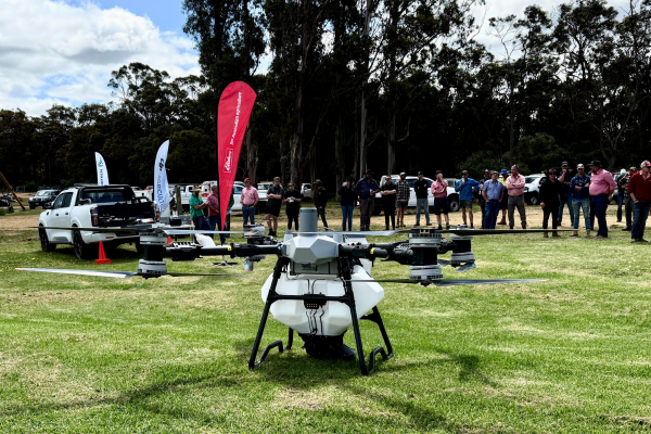 The DJI T 100 on display at the Albany demonstration, where growers and the Elders agronomy team gathered to see its spraying, spreading and lifting capabilities in action.