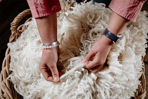 Latest wool market update