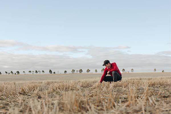 Elders agronomist kneeling in a paddock inspecting the stubble
