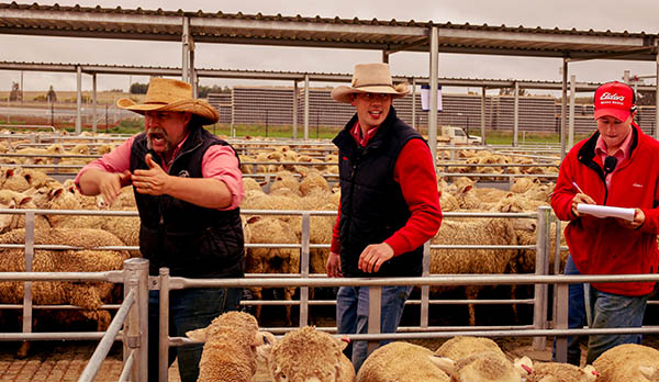 Auctioneer in full flight while two attendants watch