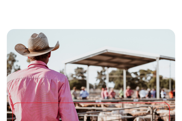 Copy of ELD2024_livestockNow_landingpage-images-template.psd - 3