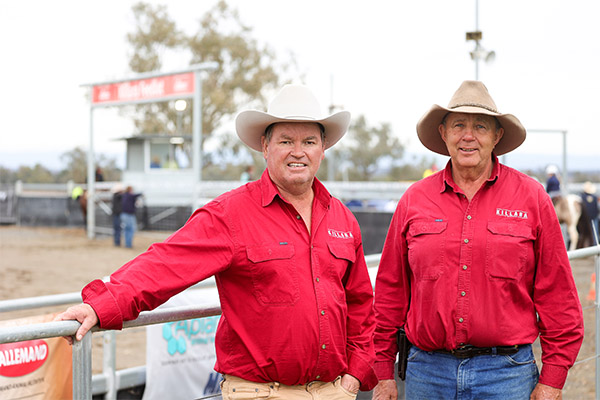 killara_feedlot_staff_at_campdraft