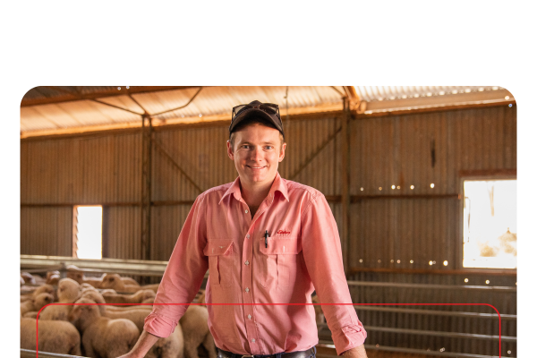 Copy of ELD2024_livestockNow_landingpage-images-template.psd - 1