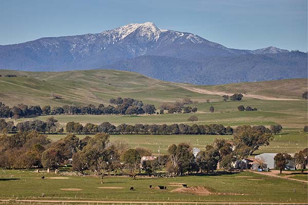 Minto Park with Mt Buller in the background