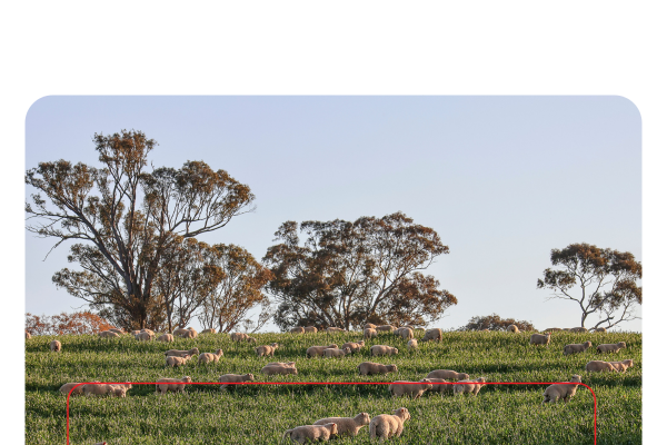 Copy of ELD2024_livestockNow_landingpage-images-template.psd - 7