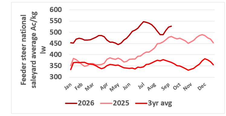 This chart shows the national saleyard indicator price for feeder steers and heifers in 2025 and 2026 and the 3-year average. Source: MLA