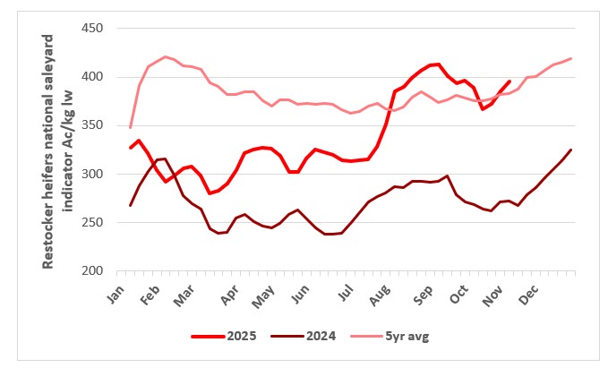This chart shows c/kg lw national saleyard indicator price for restocker steers in 2024, 2025 and the five year average. Source: MLA.