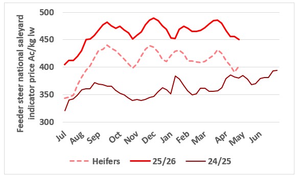 This chart shows the national saleyard indicator price for feeder steers and heifers in 25/26 and 24/25. Source: MLA.