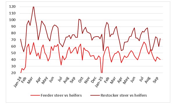 This chart shows the premium for feeder and restocker steers vs heifers in c/kg lw. Source: MLA.