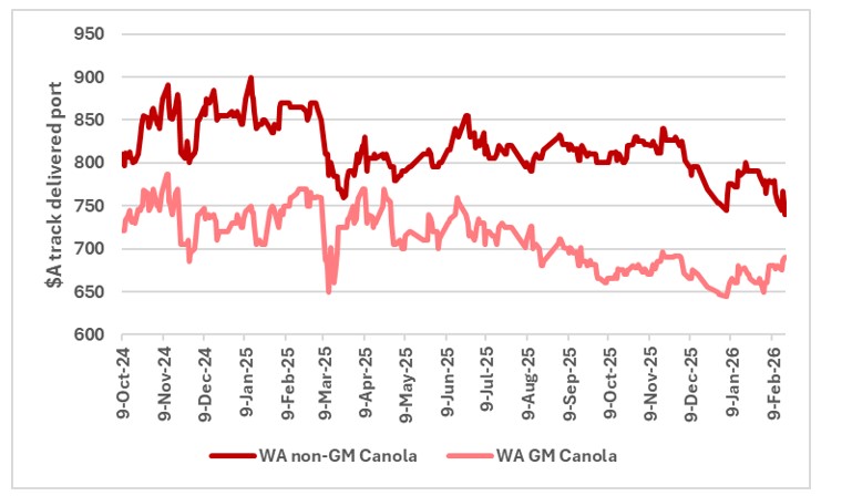 This chart shows WA port prices for GM and non-GM canola, Source: CGX