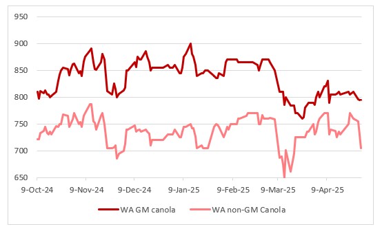 This chart shows the prices of non-GM and GM canola delivered by track into major WA ports. Source: CGX
