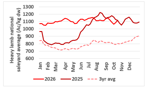 This chart shows the national saleyard indicator prices for heavy lambs in 24/25 vs 26/26 and five-year average. Source: MLA