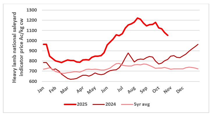 This chart shows the national saleyard indicators prices for heavy lambs this year vs 23/24 & 7year average Source: MLA