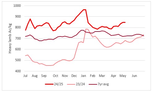 This chart shows the national saleyard indicators prices for heavy lambs this year vs 23/24 & 7year average Source: MLA
