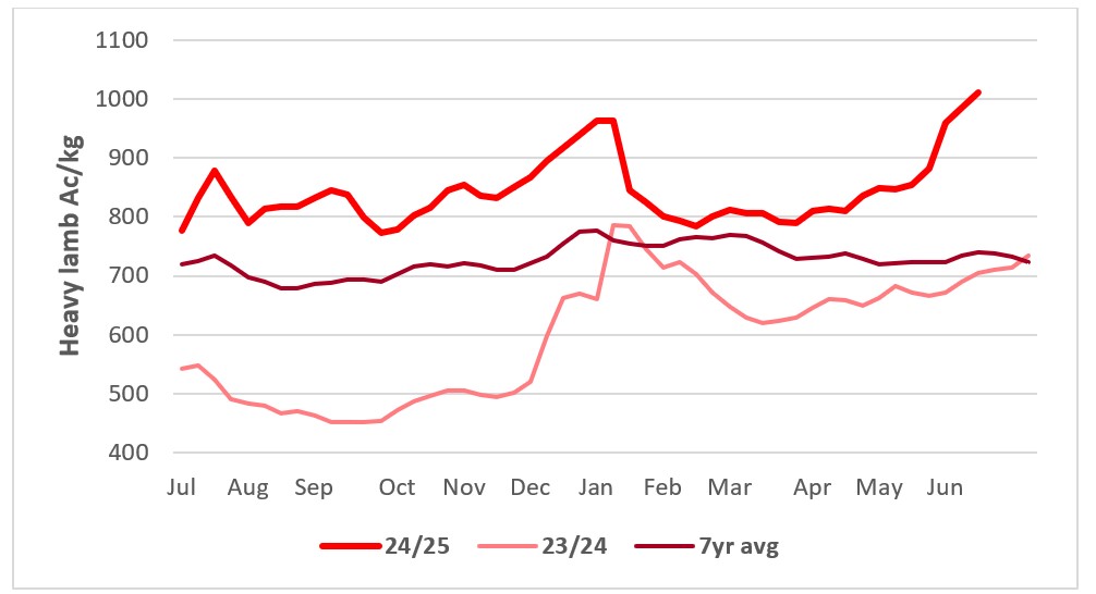 This chart shows the national saleyard indicators prices for heavy lambs this year vs 23/24 & 7year average Source: MLA