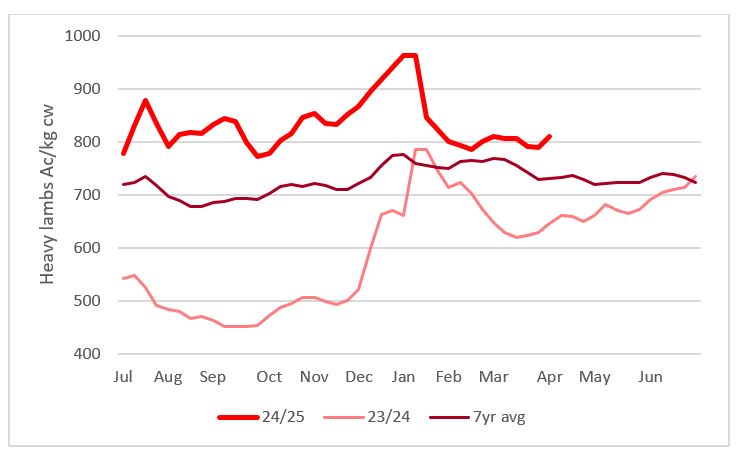 This chart shows the national saleyard indicators prices for heavy lambs this year vs 23/24 & 7year average Source: MLA