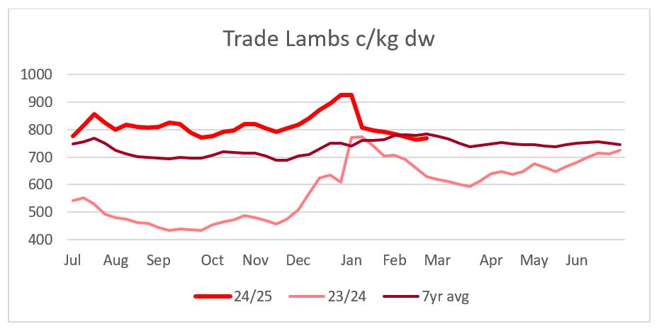 This chart shows the national saleyard indicators prices for trade lambs this year versus 23/24 and seven-year average. Source: MLA