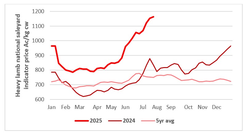 This chart shows the national saleyard indicators prices for heavy lambs this year vs 23/24 & 7year average Source: MLA