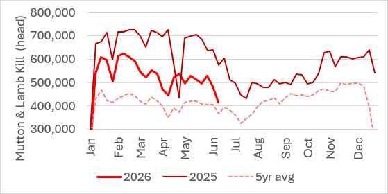 Graph showing the 2025 and 2026 kill numbers of mutton and lamb compared against a five-year average. Source: MLA. 