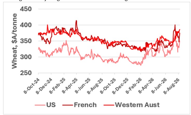 This chart shows weekly Australian cattle slaughter. Source: MLA.
