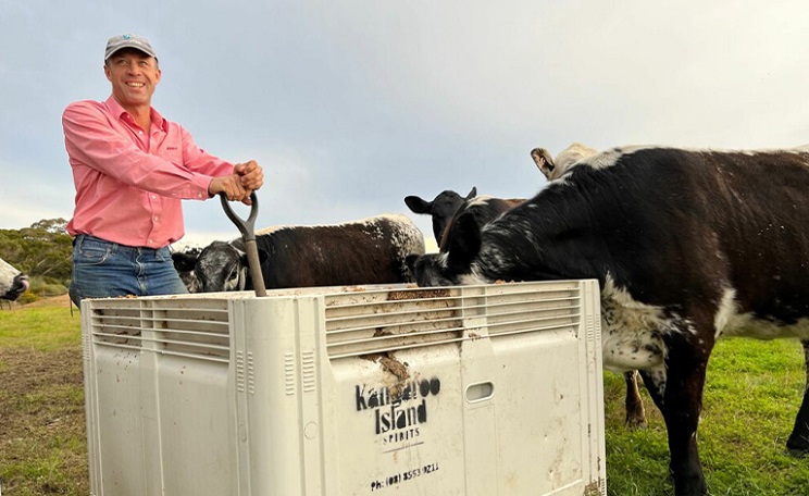 Stuart Were feeding cattle