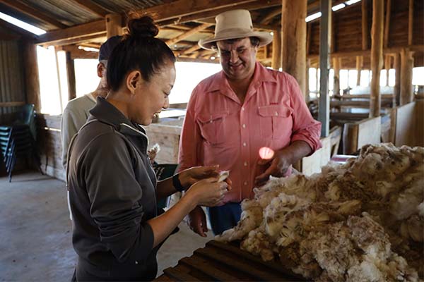 Staff from Uniqlo Japan inspect wool watched by Elders' Brett Smith