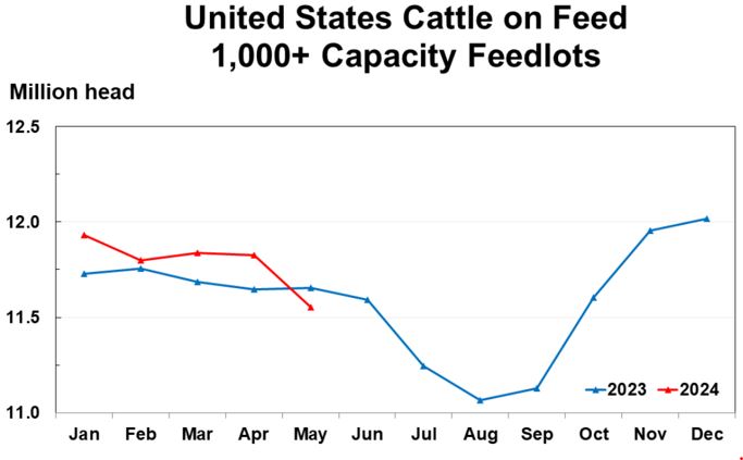 his chart shows the number of cattle in US feedlots this year vs last year.. Source: UDSA/NASS 24 May 2024