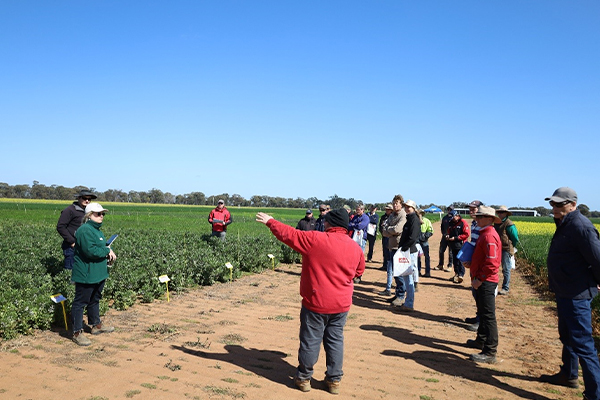 man stands in paddock and speaks to a group of farmers