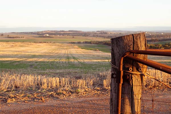 Looking through a farm gate across a paddock of stubble