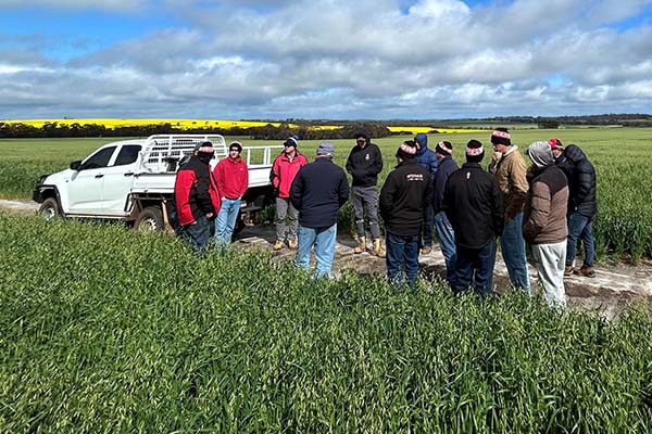 The group engaging in technical discussions on farm