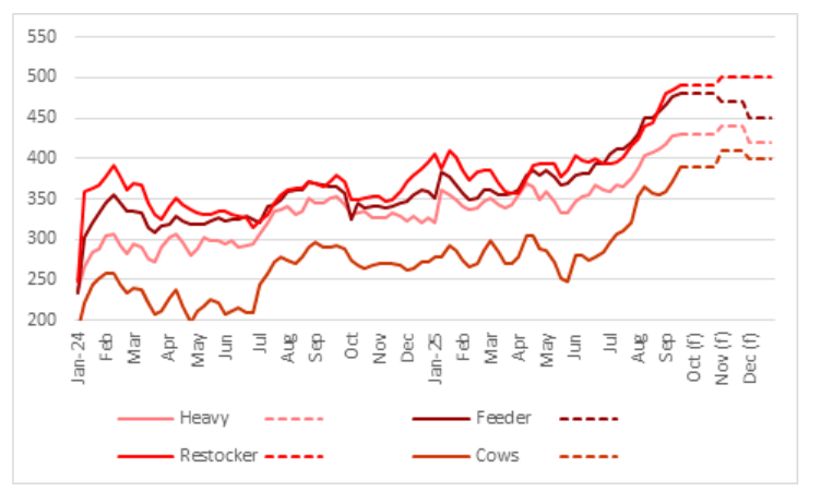 This chart shows national saleyard indicator prices and Elders price forecasts for major cattle categories. 