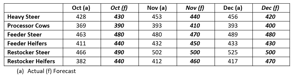 This table shows actual and forecast cattle prices for various categories. 