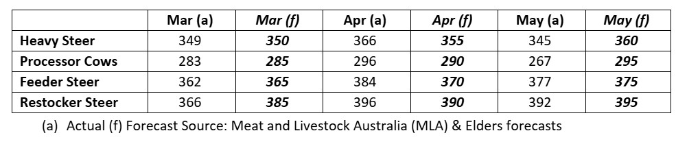 This chart shows national saleyard indicator prices and Elders price forecasts for major cattle categories. Source: Meat and Livestock Australia (MLA) and Elders forecasts. 