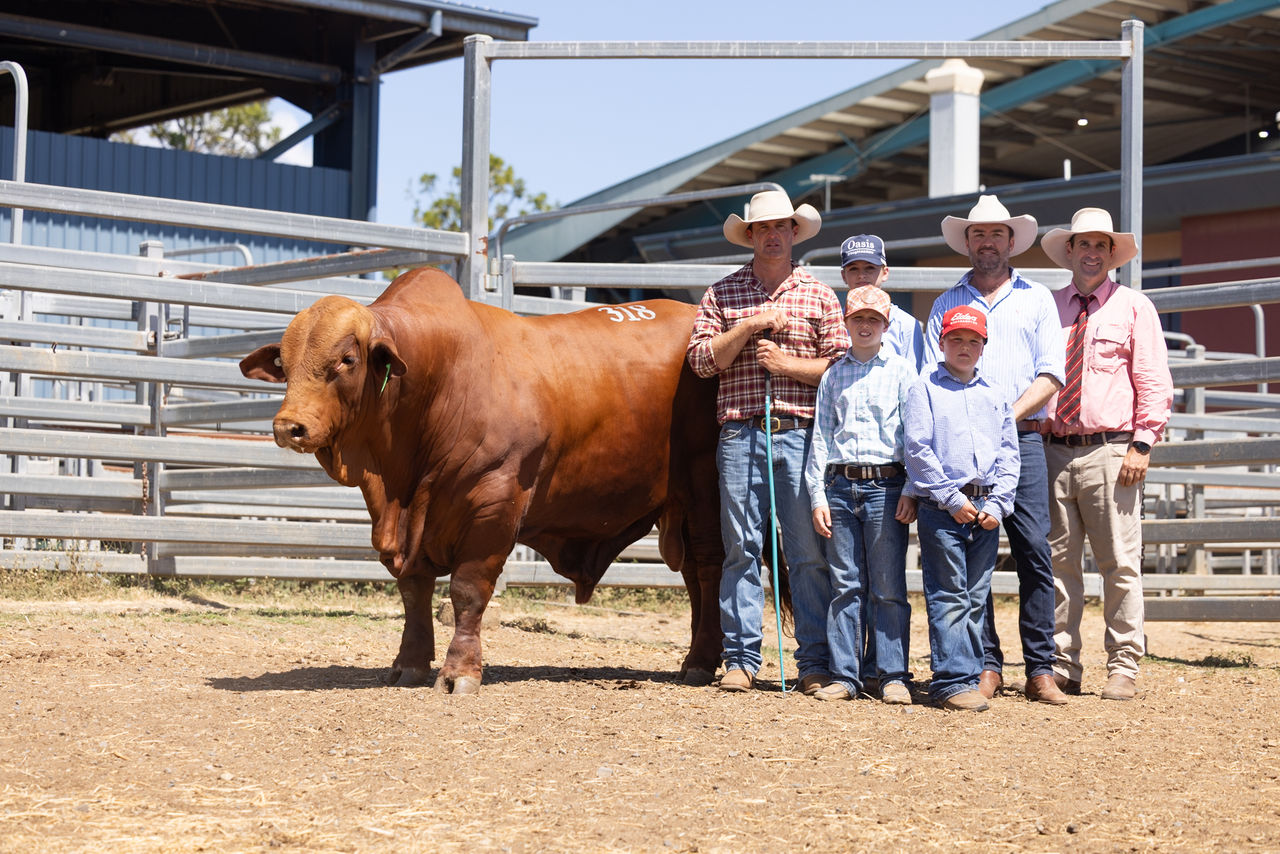 Young Elders client family standing next to a Brahman bull at the Young Beef Producers event