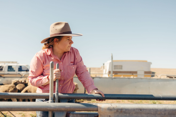Emma Dougal using a sheep separator gate