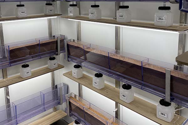 Inside the agrion soil lab showing shelves set-up for tests