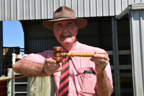elders auctioneer, tom penna, with gavel presented after a sale