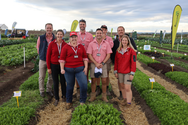 Elders staff in pink shirts standing in crop trial fields at VICVID 2024.