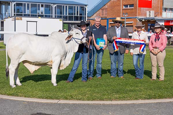 Winners are grinners at the Mackay All Things Beef Expo 2026