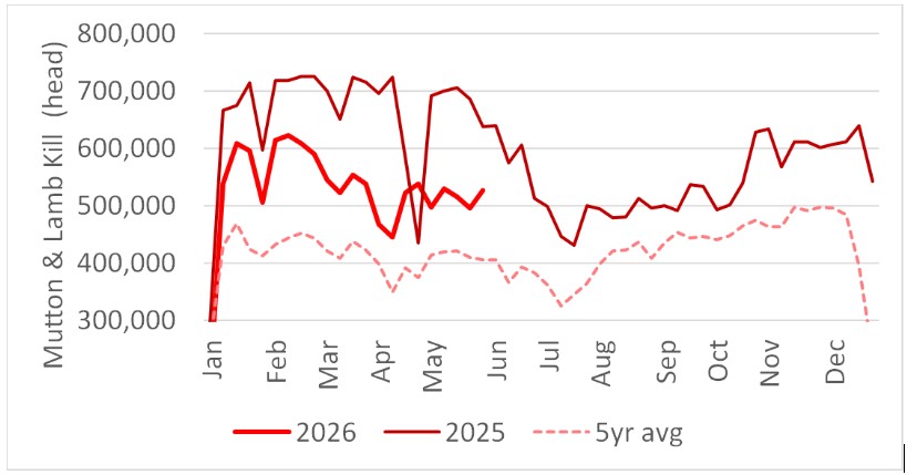 This chart shows Australian weekly sheepmeat slaughter in 2025 vs 2026 and the 5-year average. Source: MLA.