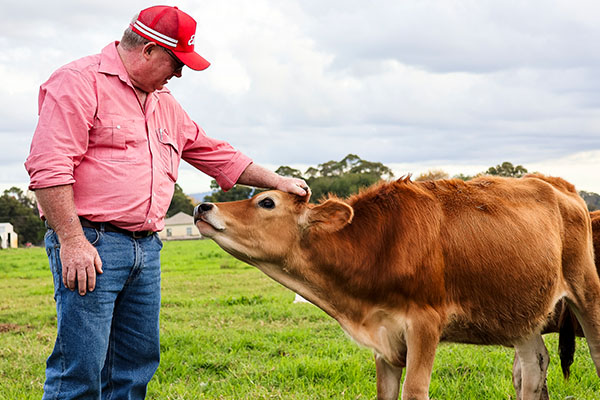 elders staff member petting sheep